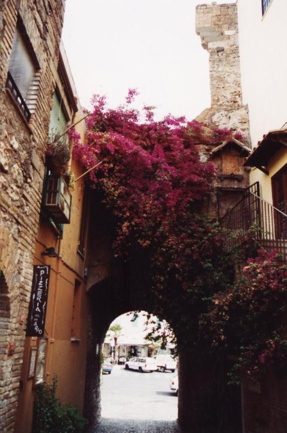 Hotel La Casa Degli Artisti 1 à Nettuno Extérieur photo